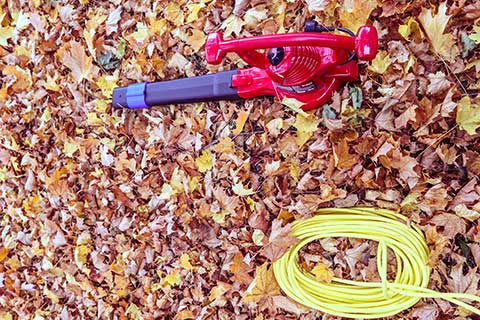 Vacuum For Leaves
